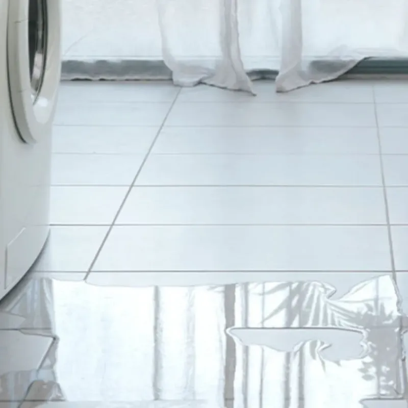 Appliance Leak Cleanup in Bothell East, WA